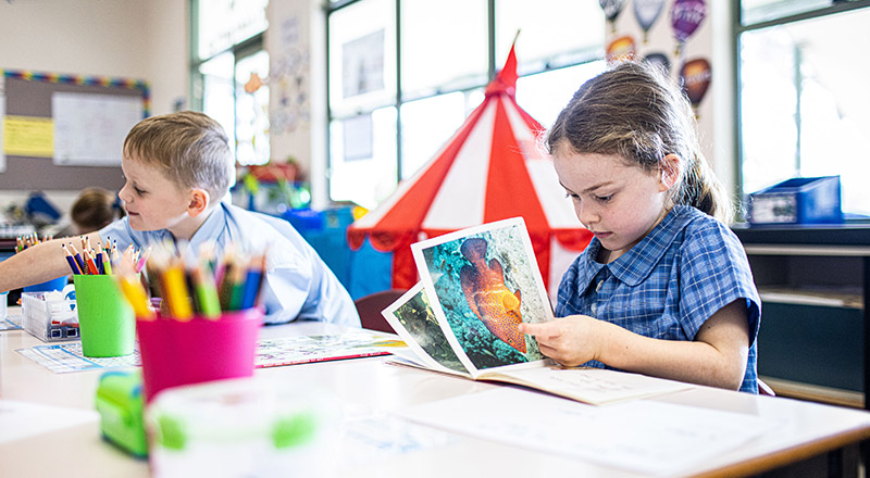 Kindergarten students from St Thomas Aquinas Catholic Primary Springwood