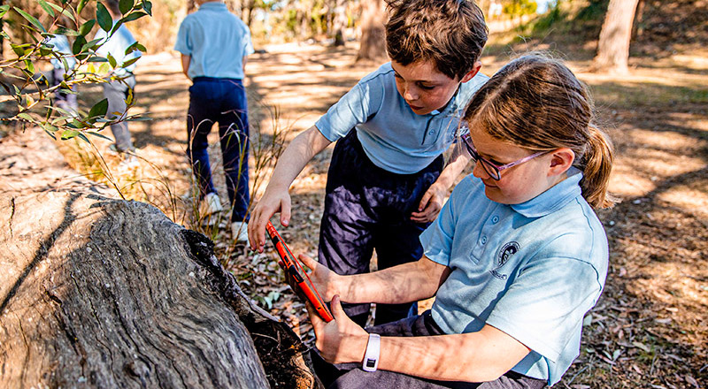 St Thomas Aquinas Catholic Primary Springwood