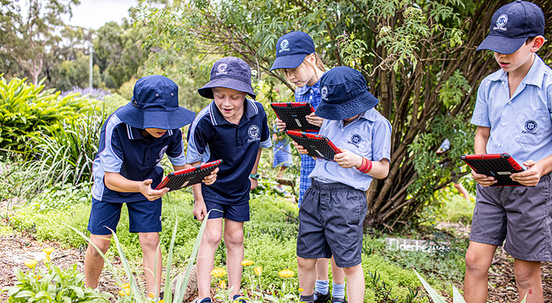 Students learning outdoors at St Thomas Aquinas Catholic Primary Springwood