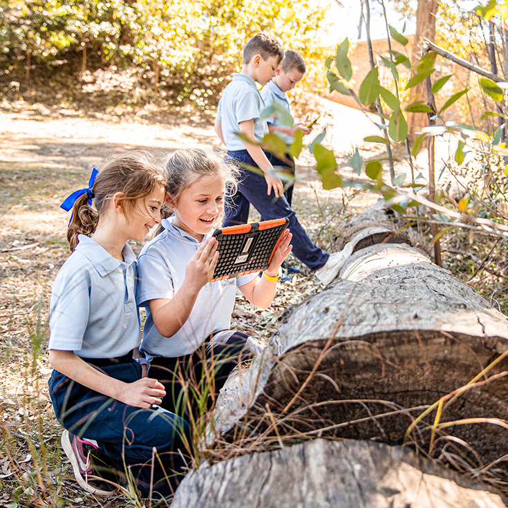 Innovative Learning - St Thomas Aquinas Catholic Primary Springwood