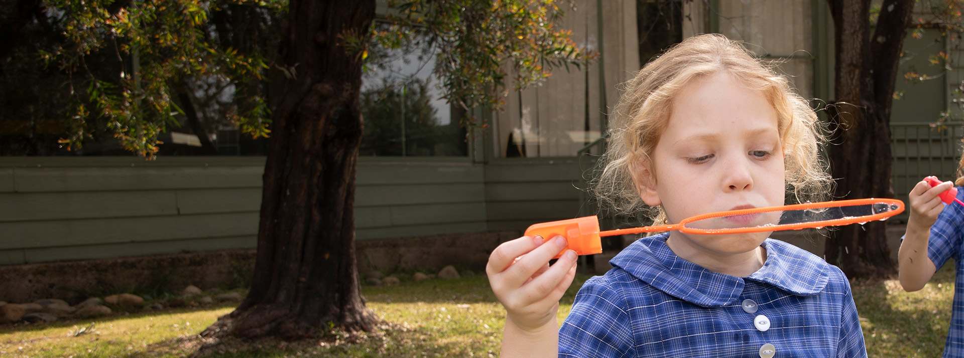 St Thomas Aquinas Catholic Primary Springwood