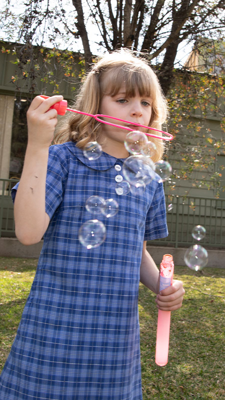 News & Events at St Thomas Aquinas Catholic Primary Springwood