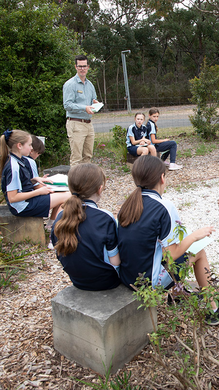 St Thomas Aquinas Springwood