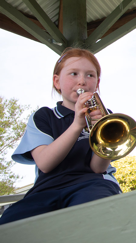 St Thomas Aquinas Springwood