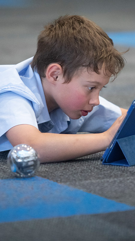 Fees & assistance at St Thomas Aquinas Springwood