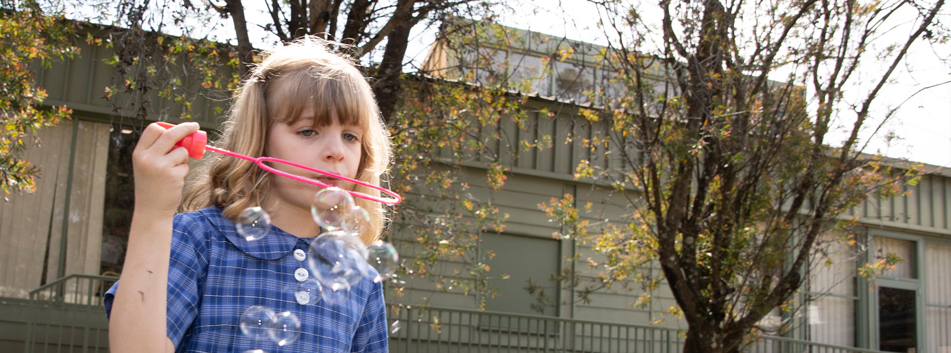 News & Events at St Thomas Aquinas Catholic Primary Springwood