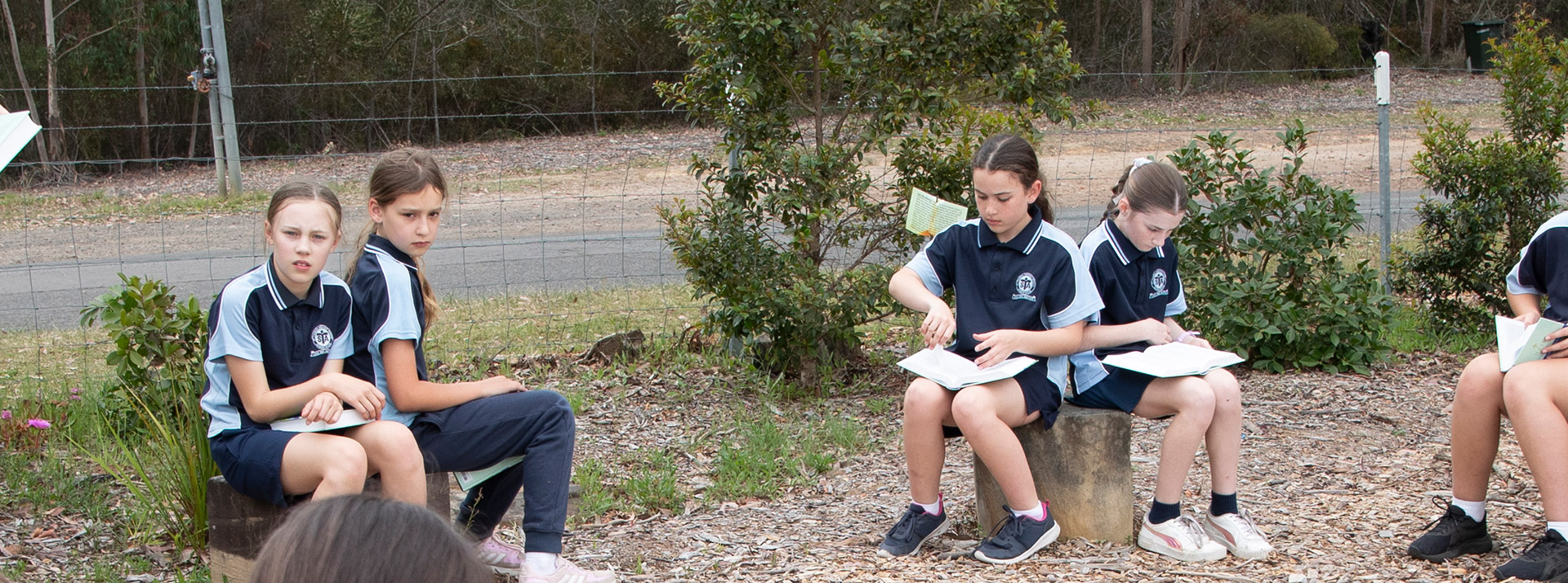 Parent Teacher Communication for St Thomas Aquinas Springwood