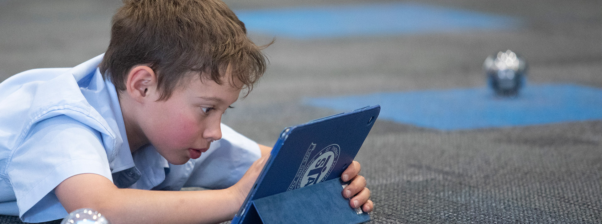 Fees & assistance at St Thomas Aquinas Springwood