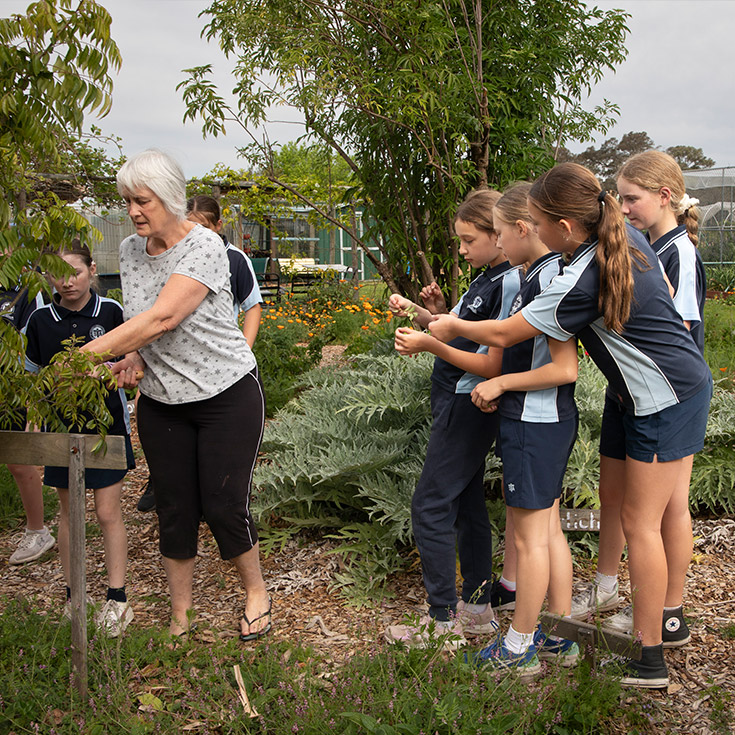 Teachers at St Thomas Aquinas Catholic Primary School Springwood