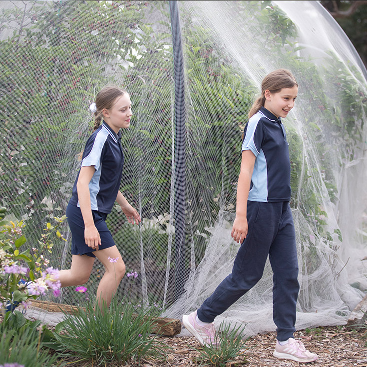 St Thomas Aquinas Catholic Primary School Springwood