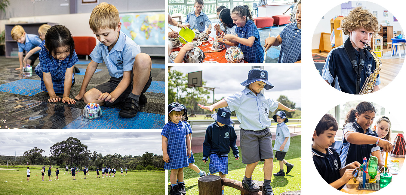 Curriculum at St Thomas Aquinas Primary Springwood