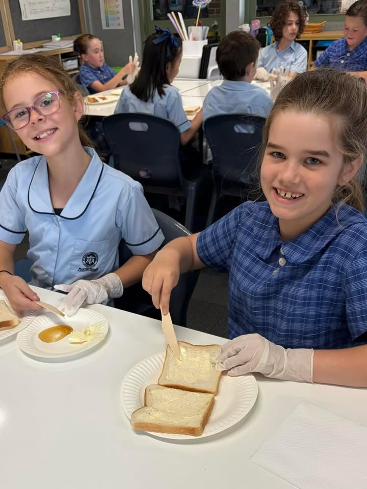 459854762807679_1538101528316325-1