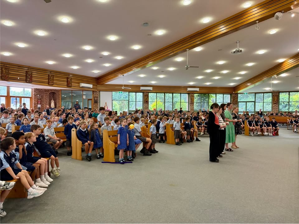 459854762807679_1541248538001624-1