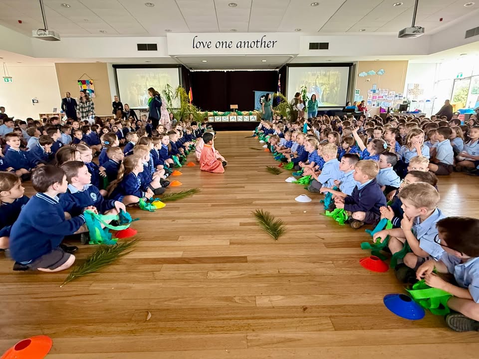 459854762807679_1568637431929401-1