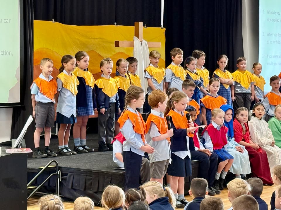 459854762807679_1591418272984650-1